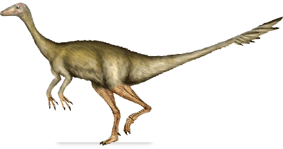 Archaeornithomimus asiaticus : DinoChecker Dinosaur Gallery