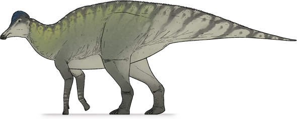 corythosaurus