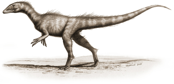 dracoraptor-hanigani
