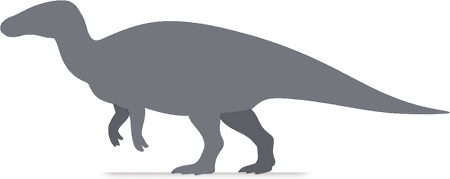 styracosterna