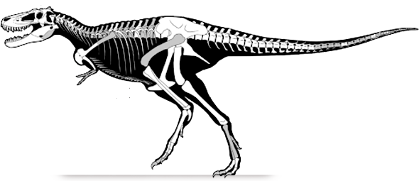 nanotyrannus.png