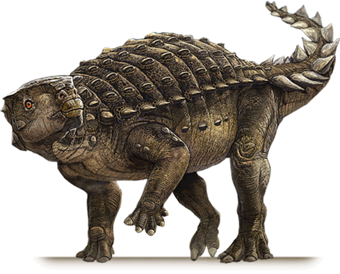 kunbarrasaurus ieversi
