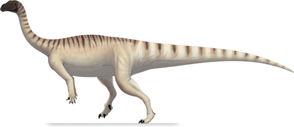 mussaurus