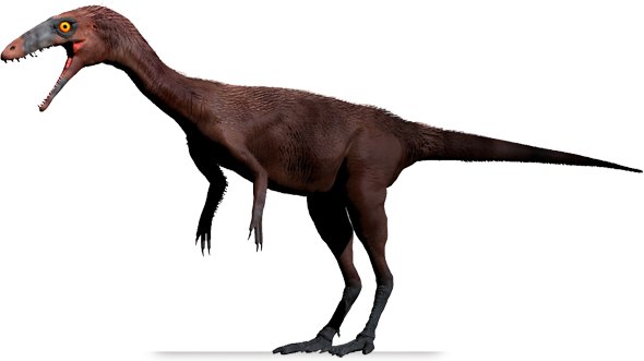 Notatesseraeraptor