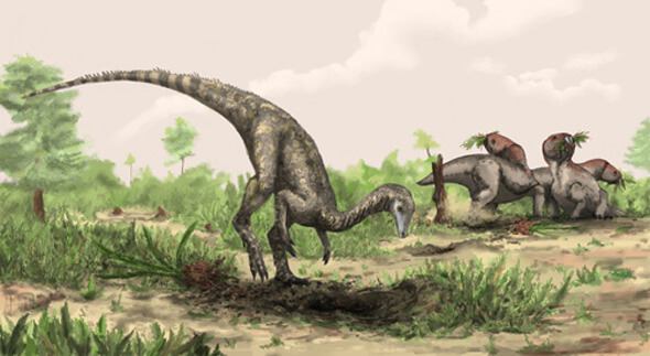 nyasasaurus parringtoni