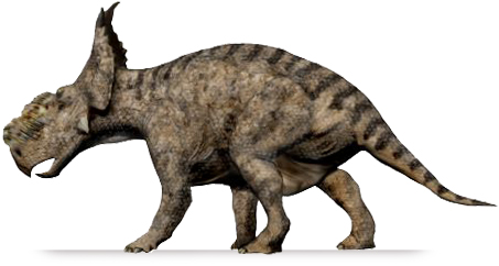 Pachyrhinosaurus canadensis