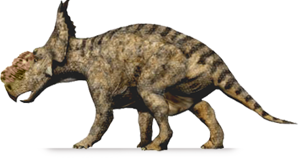 Pachyrhinosaurus canadensis