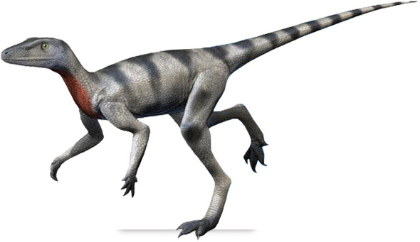 saltopus elginensis