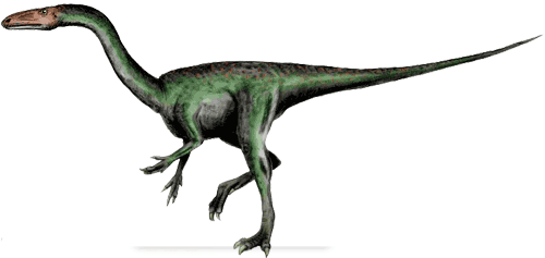 Segisaurus halli : DinoChecker Dinosaur Gallery