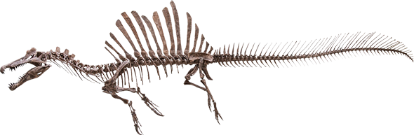 spinosaurus