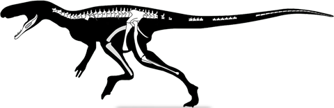 staurikosaurus.png