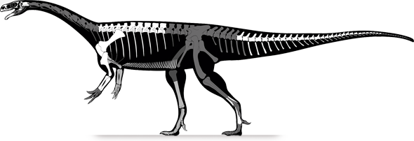 unaysaurus