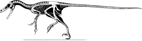 velociraptor