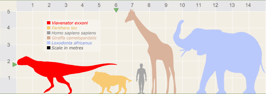 viavenator-size.png
