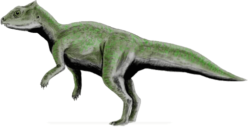 yinlong downsi