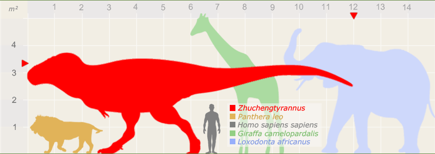 zhuchengtyrannus-size.png