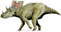 agujaceratops