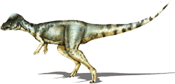 alaskacephale