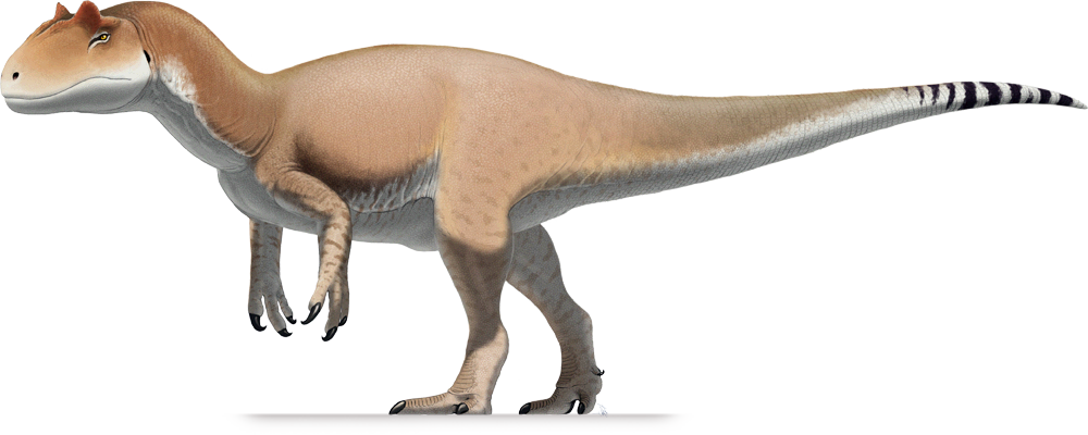 allosaurus 2020