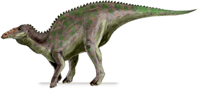 anatotitan 