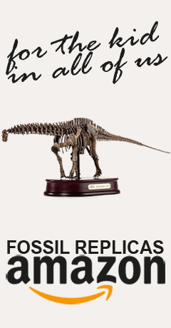 apatosaurus-skel-model