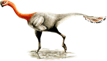 apatoraptor.png