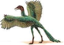 archaeopteryx