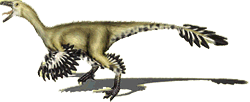 archaeornithoides.png