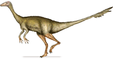 archaeornithomimus.png
