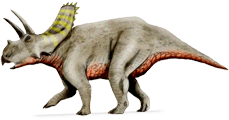 arrhinoceratops.png