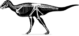 aucasaurus.png