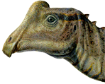 Parasaurolophus, Baby Joe