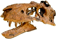 bistahieversor-sealeyi.png
