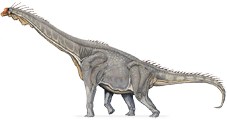 brachiosaurid