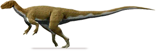 camarillasaurus.png