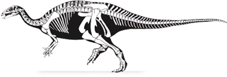 Camptosauridae
