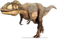 Carcharodontosaurid