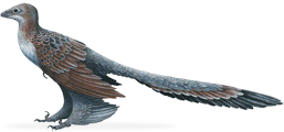 changyuraptor.png