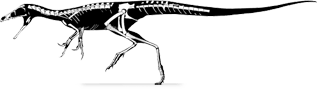 Compsognathidae