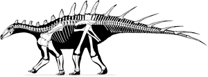 Dacentrurus Pronunciation