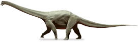 diamantinasaurus.png