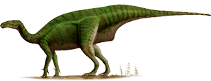 dollodon.png
