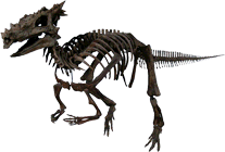 dracorex.png