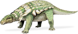 edmontonia