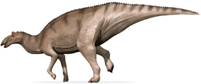 Ceratopsia