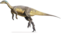 eousdryosaurus.png