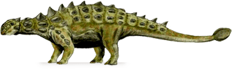euoplocephalus.png