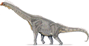 brachiosauridae
