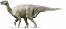 Iguanodon