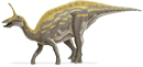 Tsintaosaurini